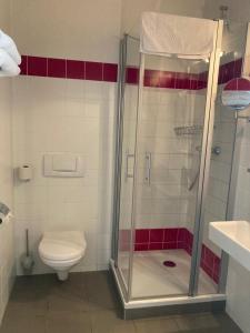 een badkamer met een douche en een toilet bij Kolpingsfamilie Poysdorf in Poysdorf