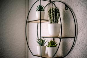 Φωτογραφία από το άλμπουμ του Pieds dans l'eau - Lac Léman - 2 min Evian - Spacieux σε Neuvecelle