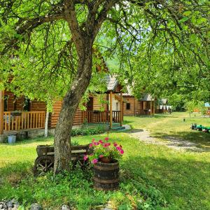 Imagen de la galería de Rafting Camp Modra Rijeka, en Šćepan-Polje