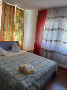 Postel nebo postele na pokoji v ubytování Pensiunea Vidra