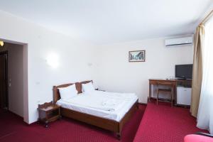 a bedroom with a bed and a desk and a television at Dumbrava Sibiului in Sibiu