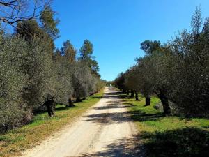 Kép Casa rural con jardín privado szállásáról Navatában a galériában