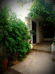 un accès à un bâtiment avec des plantes devant lui dans l'établissement Casa Kalma, à Cazorla