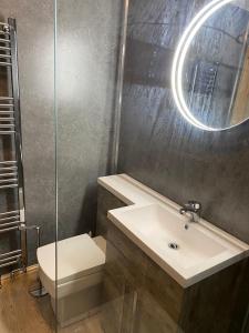 a bathroom with a sink and a toilet and a mirror at Cackle hill lakes, Kingfisher Lodge in Biddenden +13 photos