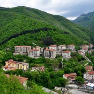 Afbeelding uit fotogalerij van Forest Spring in Narechenski Bani