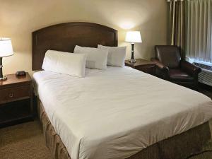 A bed or beds in a room at Rodeway Inn & Suites