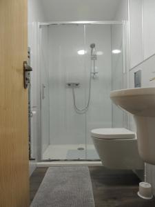 a bathroom with a shower and a toilet and a sink at Braeview Studio in Macduff