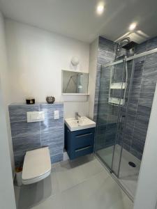 łazienka z prysznicem, toaletą i umywalką w obiekcie Villa Neptun - apartament przyjazny zwierzętom w Gdańsku