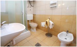 een badkamer met een wastafel, een toilet en een douche bij Primosten Apartments in Primošten +46 foto's