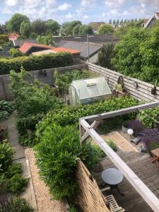 eine Aussicht über einen Dachgarten mit Gemüsegarten in der Unterkunft Bij van der Veer in Julianadorp