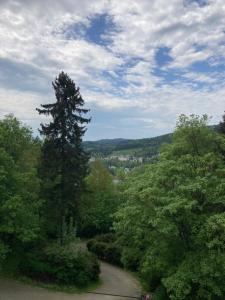 Príroda v okolí apartmánu