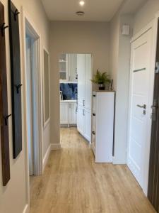 Kuchyňa alebo kuchynka v ubytovaní Apartament BB z widokiem na Krynicę