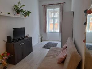 a living room with a couch and a television at Budapest Central Andrassy Apartment in Budapest