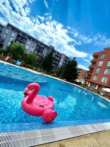 einen rosa Schwan im Pool in der Unterkunft Bella Apartment - Holiday Complex Rainbow in Sonnenstrand