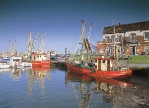 three boats are docked in a marina on the water at Schäferwagen Tiny House auf dem Friesenhof in Pellworm