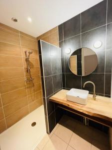 een badkamer met een wastafel, een douche en een spiegel bij "Les Oiseaux" avec terrasse, parking, duplex in Le Chambon-sur-Lignon
