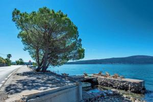 صورة لـ Neptune في تيفات +29 صورة