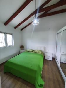 a bedroom with a large green bed in a room at Villa RADA in Igalo