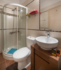 ハニア・タウンにあるLuxury Coastal Retreat, Mountain View Balcony with Palm Trees & Parkingのトイレ、洗面台、シャワー付きのバスルーム +11枚の写真