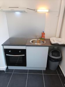 uma pequena cozinha com um lavatório e um balcão em O'Couvent - Appartement 80m2 - 2 chambres - A331 em Salins-les-Bains