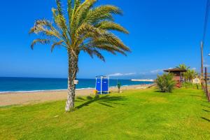 uma palmeira numa praia com o oceano em Villa Aeria em Lyso