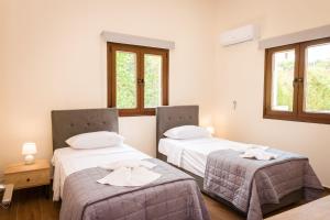 two beds in a room with two windows at Villa Kition in Lyso