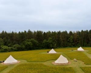 Příroda nedaleko luxury tent