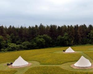 a couple of tents on a golf course at Forest Edge Glamping in Gittisham