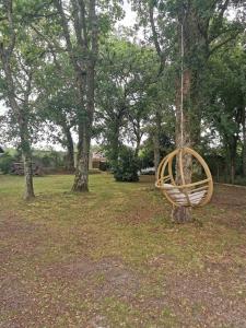 Zdjęcie z galerii obiektu Landaise *SPA Terrain arboré w mieście Azur