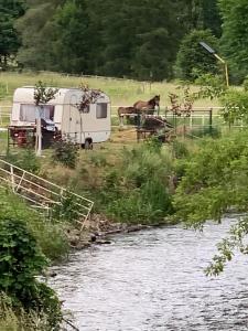 a trailer and a horse in a field next to a river at Ubytování v karavanu in Bžany