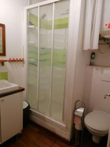 a bathroom with a shower and a toilet at VERDON GRAN VALA 2 les pieds dans l'eau in Martigues