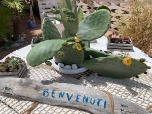 a green cactus sitting on top of a sign at Casa di nonna Benedetta in Margherita di Savoia
