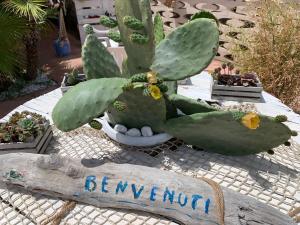 un cactus verde seduto sopra un cartello di Casa di nonna Benedetta a Margherita di Savoia