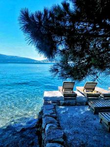 صورة لـ Neptune في تيفات