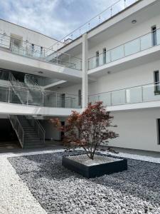 Fotografie z fotogalerie ubytování ROYAL SUN - lakeside luxury studio flat at Balaton v destinaci Keszthely