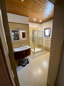 y baño con lavabo y ducha. en Sabea Guest House, en Melissano