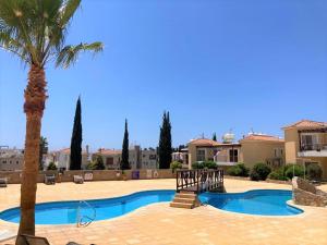 um resort com uma palmeira e uma piscina em Sirena Olympia Apartment 40 em Pafos