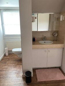 La salle de bains est pourvue d'un lavabo et de toilettes. dans l'établissement Rustig appartement in het groen met terras, à Kontich