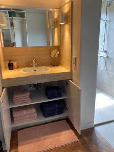 ein Bad mit einem Waschbecken und einem Spiegel in der Unterkunft Rustig appartement in het groen met terras in Kontich