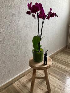 Foto dalla galleria di Rustig appartement in het groen met terras a Kontich