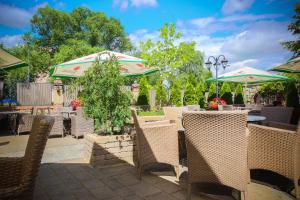 Zahrada ubytování Hotel Galicja Wellness & SPA