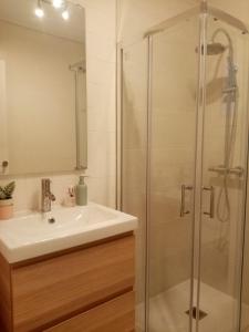 a bathroom with a sink and a shower at Apartamento Pamplona 1 in Pamplona