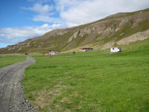 a dirt road in a field with a mountain at Ásbrandsstadir Cottage in Vopnafjörður