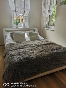 uma cama num quarto com 2 janelas em Apartament Zuza em Polanica-Zdrój