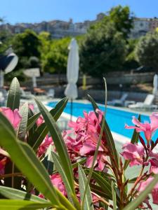 a bunch of pink flowers next to a swimming pool at Villa Romina esclusive cottage Gissi in Gissi