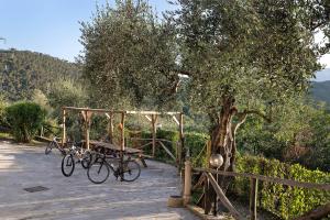 a picnic table and two bikes parked next to a tree at Casa chicken - mare, monti e bikers in Finale Ligure