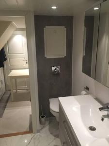 a bathroom with a white toilet and a sink at Senja, Skaland apartment in Skaland