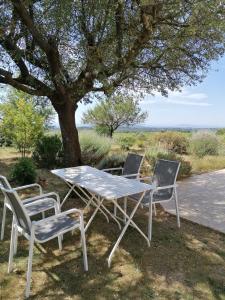 a table and two chairs sitting under a tree at Gîte Les Romarins in Saint-Jean-de-Minervois