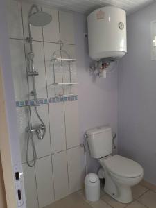 a bathroom with a shower and a toilet in it at Studio Perle de Zanzibar Trois-Ilets in Les Trois-Îlets