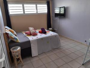 sypialnia z łóżkiem z poduszkami i telewizorem w obiekcie Studio Perle de Zanzibar Trois-Ilets w mieście Les Trois-Îlets